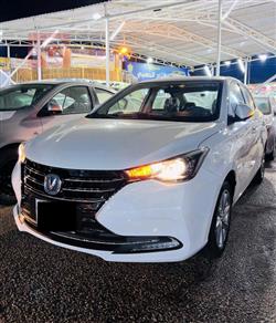 شانجان السفن